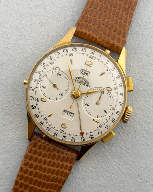 Angelus | Chronodato